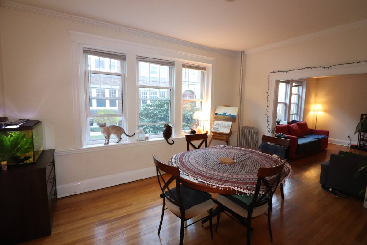 Apartment for rent at 38A Saint Paul St #1, Brookline, MA 02446