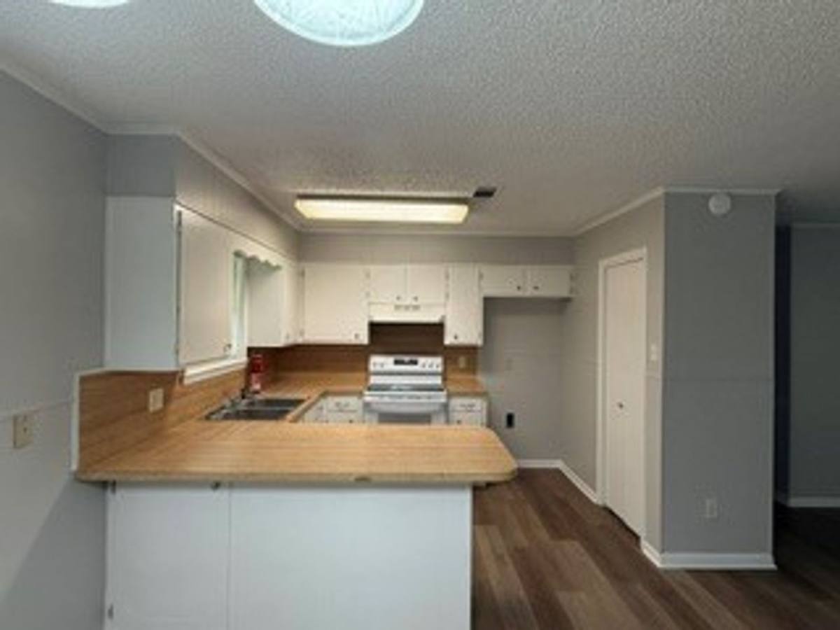 House for rent at 14259 Lamonte Lane, Hammond, LA 70401