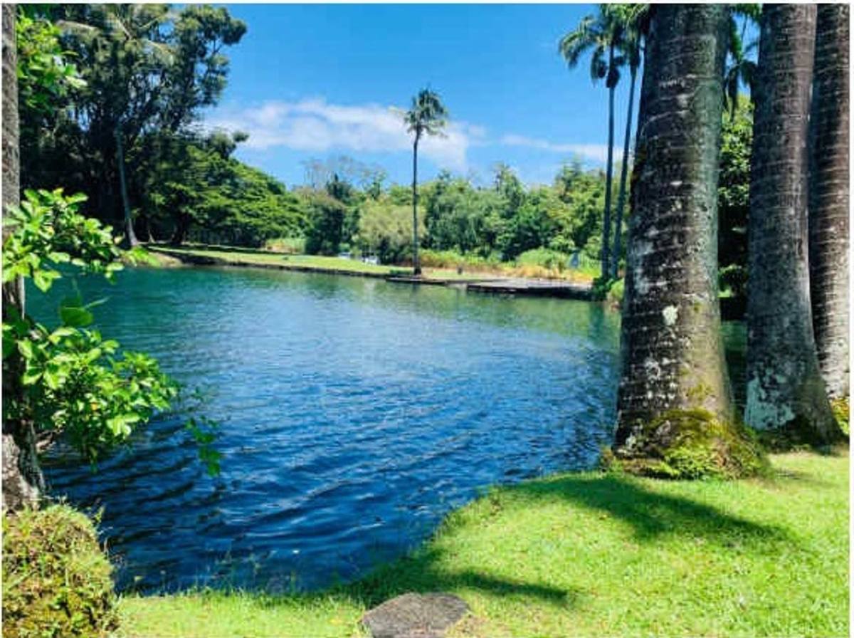 Apartment for rent at 400 Hualani St, Hilo, HI 96720