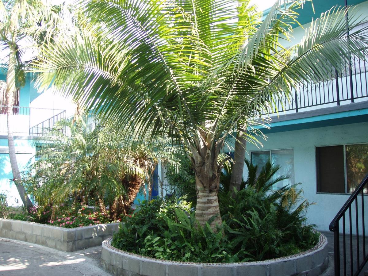 Apartment for rent at 5230 Long Beach Blvd, Long Beach, CA 90805