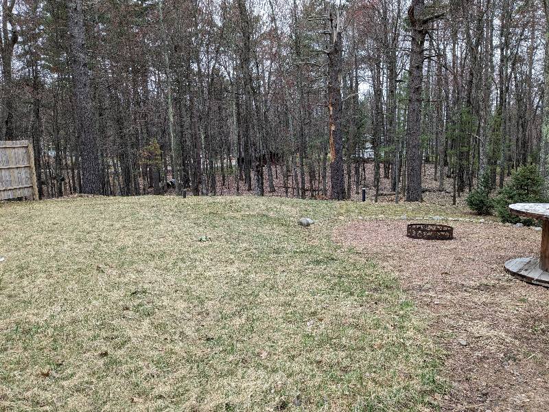 House for rent at 9815 Wintergreen Dr, Minocqua, WI 54548