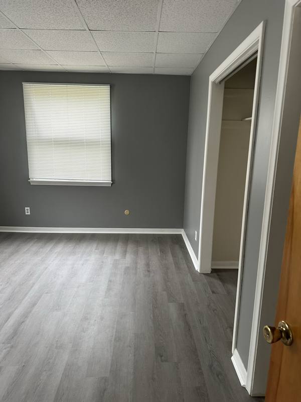 Apartment for rent at 233 N Chestnut St #A, Lansing, MI 48933