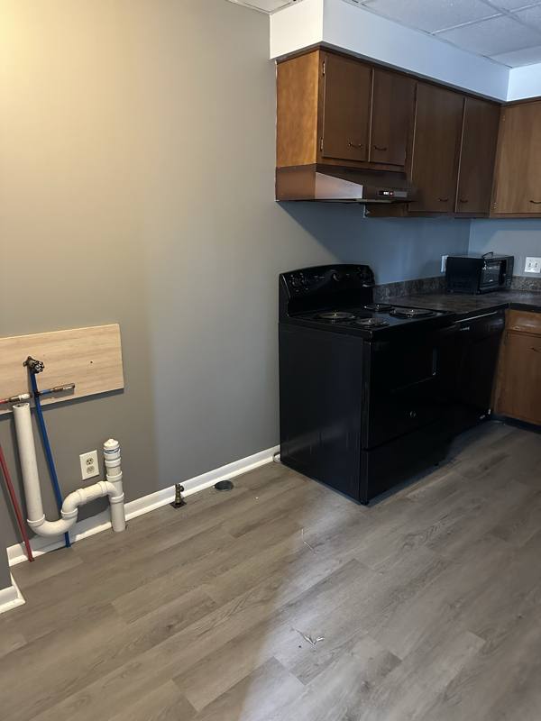 Apartment for rent at 233 N Chestnut St #A, Lansing, MI 48933