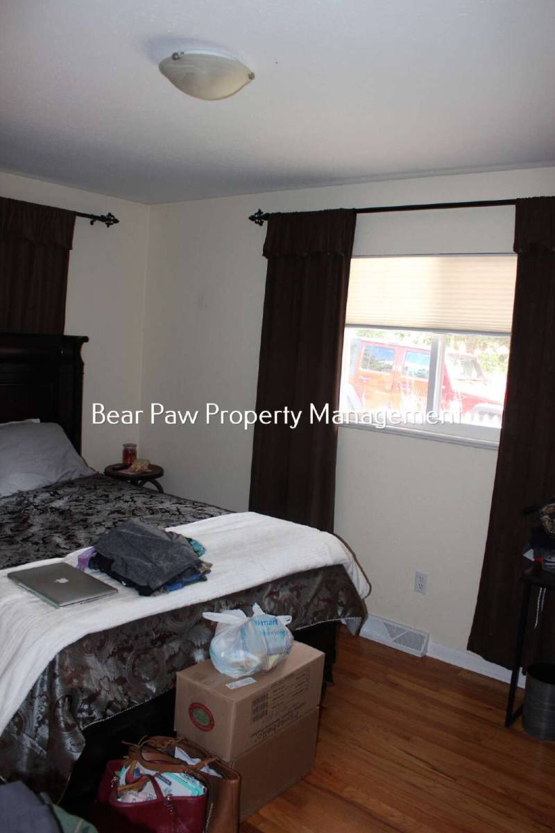 House for rent at 28236 Lupine Dr, Evergreen, CO 80439
