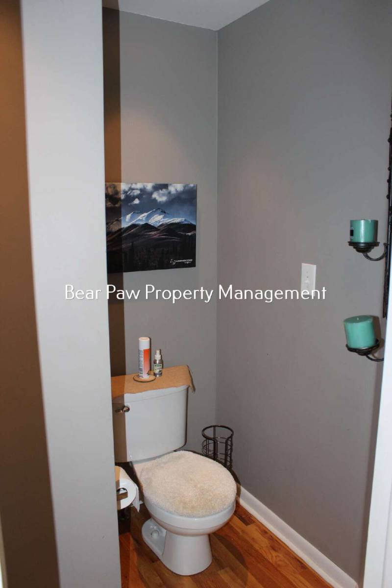 House for rent at 28236 Lupine Dr, Evergreen, CO 80439