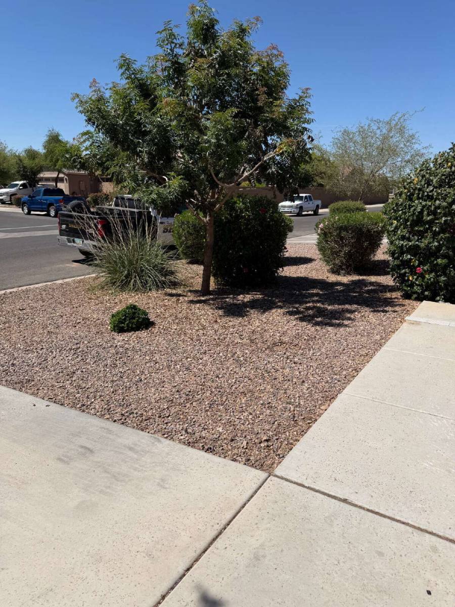 House for rent at 932 W Hot Springs Trail, San Tan Valley, AZ 85140
