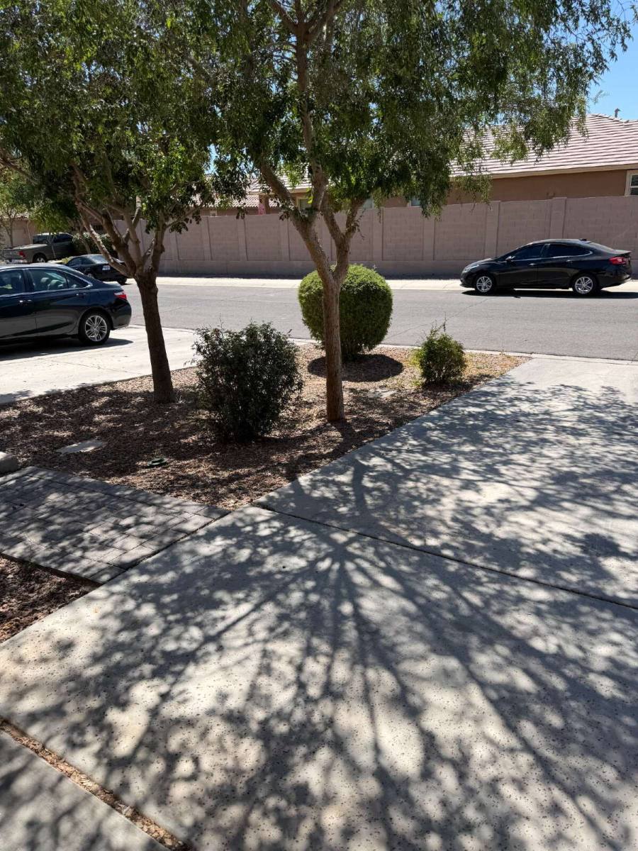 House for rent at 932 W Hot Springs Trail, San Tan Valley, AZ 85140