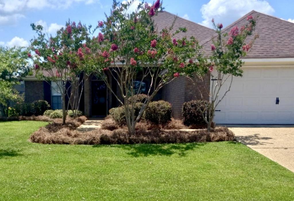 House for rent at 109 Millhouse Dr, Madison, MS 39110