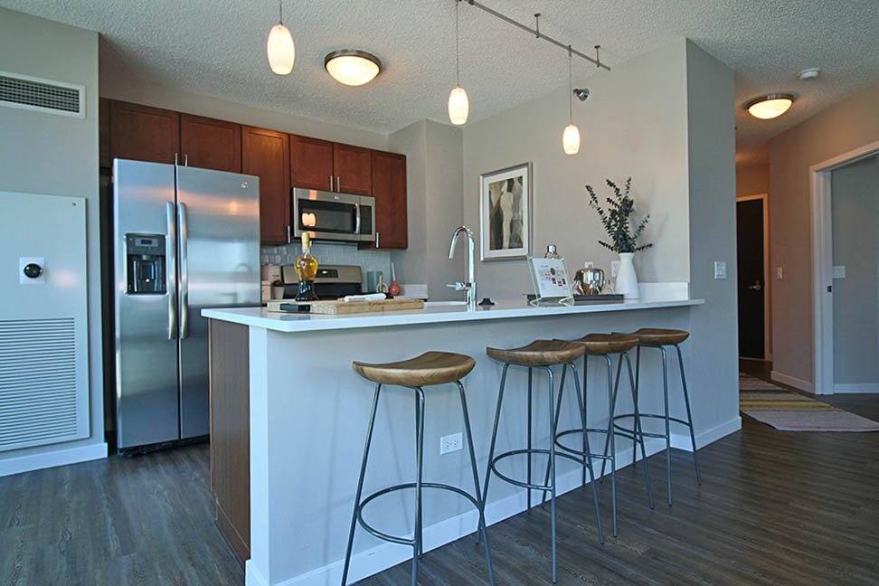 Apartment for rent at 365 E Ohio St, Chicago, IL 60611