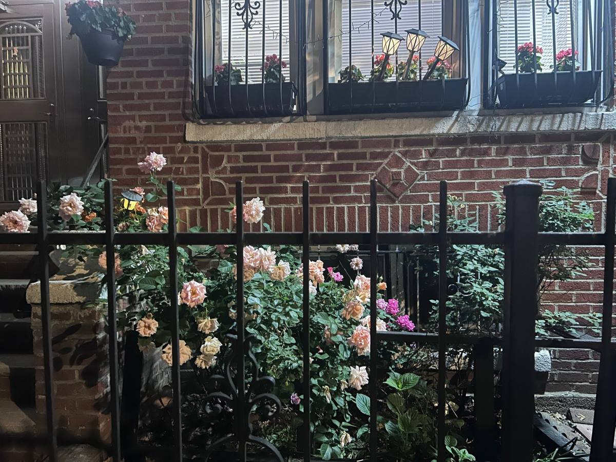 Apartment for rent at 1034 Ward Ave #B1, Bronx, NY 10472