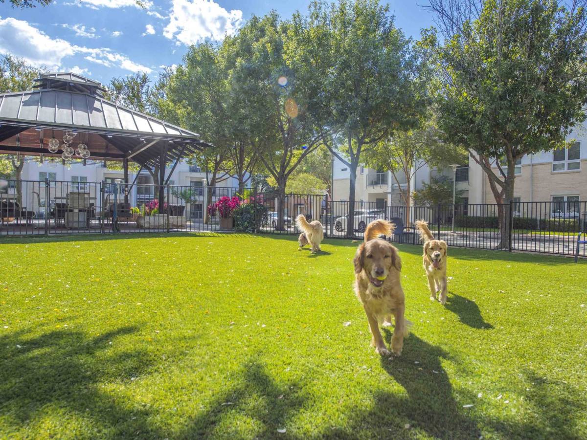 Apartment for rent at Pavilion Townplace at Inwood Village, 7700 Greenway Blvd, Dallas, TX 75209