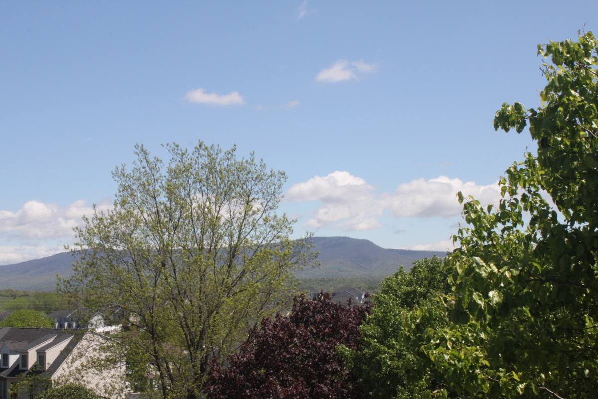 Apartment for rent at 1112-1 Blue Ridge Dr, Harrisonburg, VA 22802