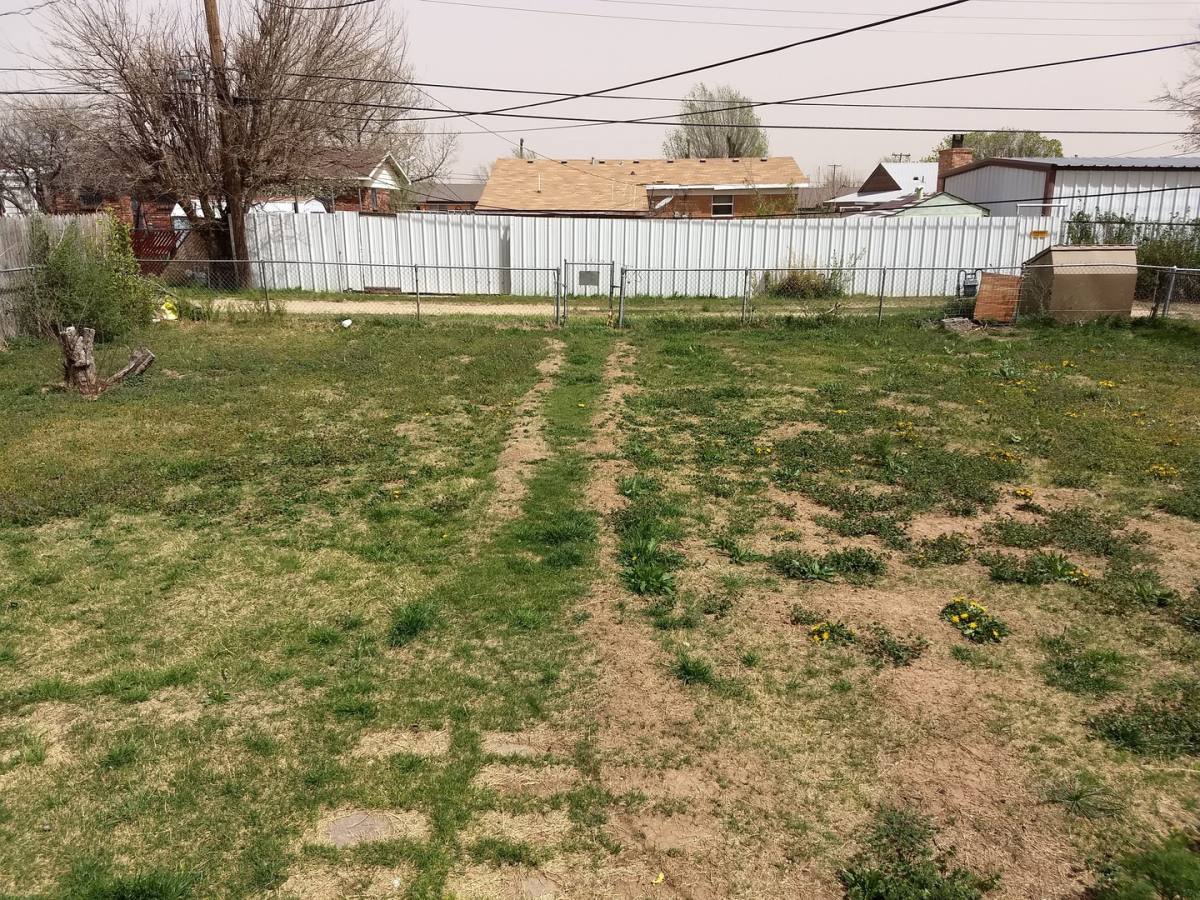 House for rent at 920 Gardenia, Amarillo, TX 79107