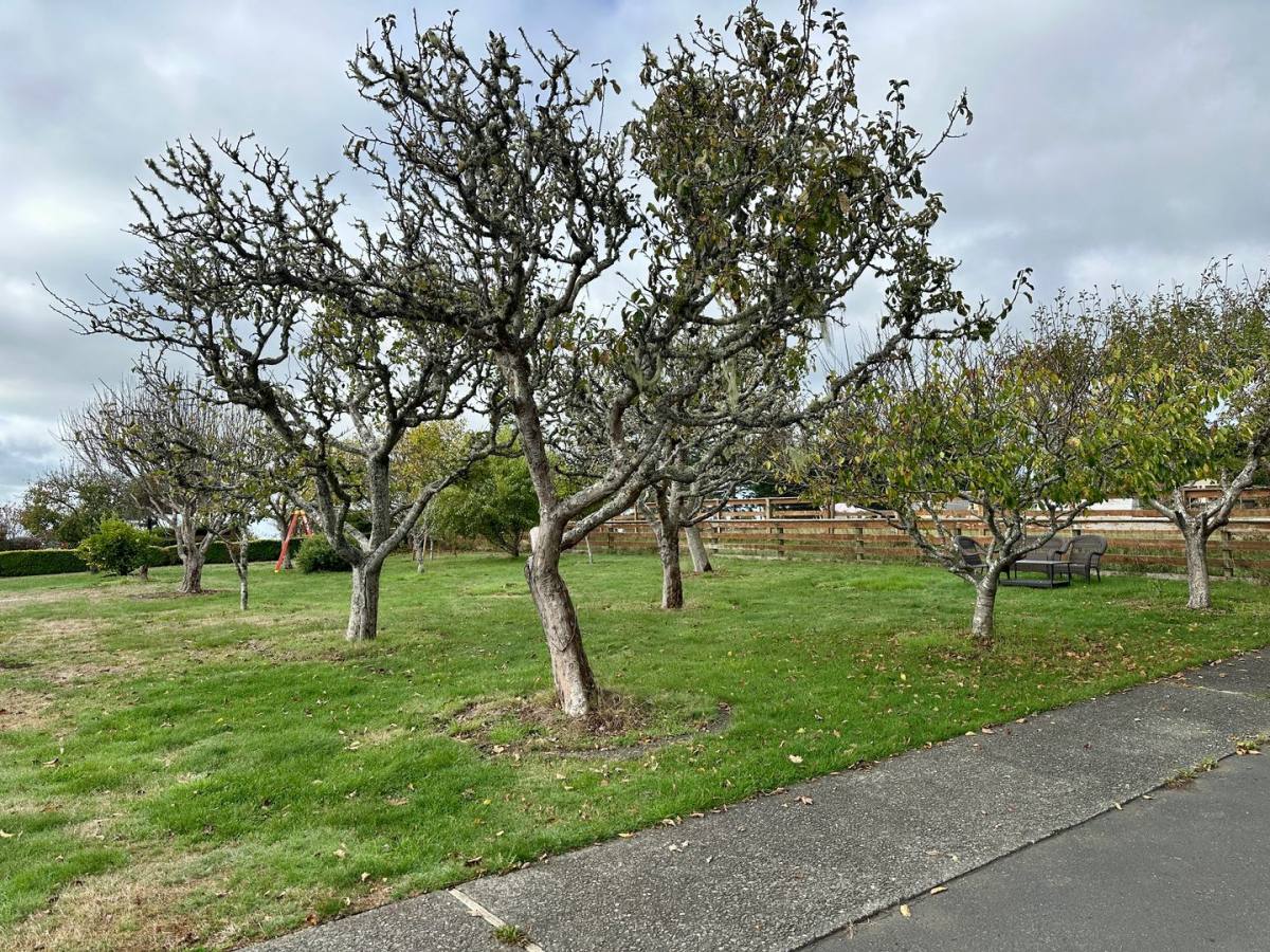 House for rent at 732 Hunts Dr, McKinleyville, CA 95519