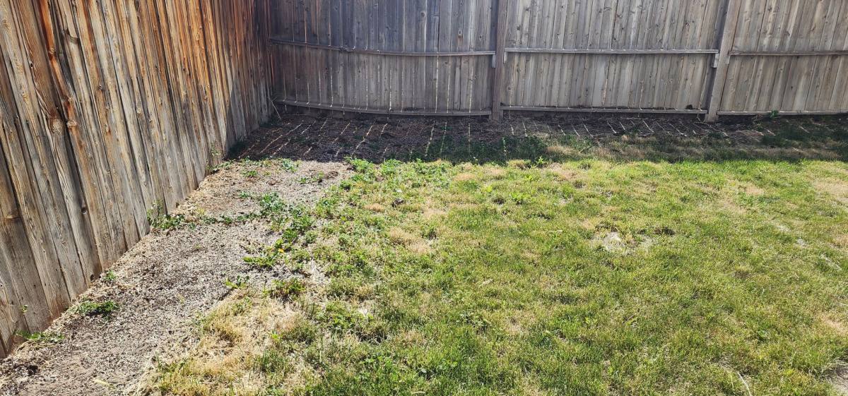 House for rent at 2990 Krista St, Grand Junction, CO 81504