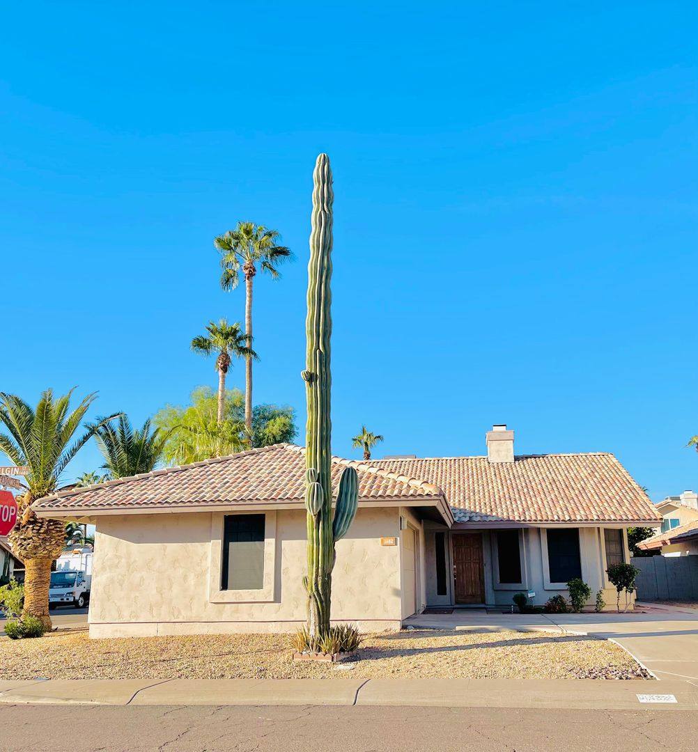 House for rent at 1482 W Elgin St, Chandler, AZ 85224