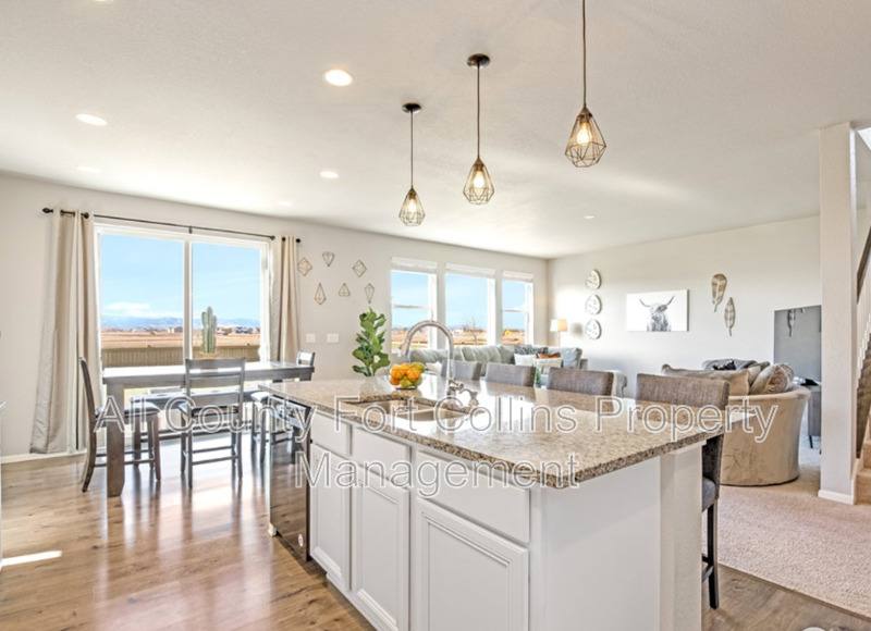 House for rent at 5217 Alberta Falls St, Timnath, CO 80547
