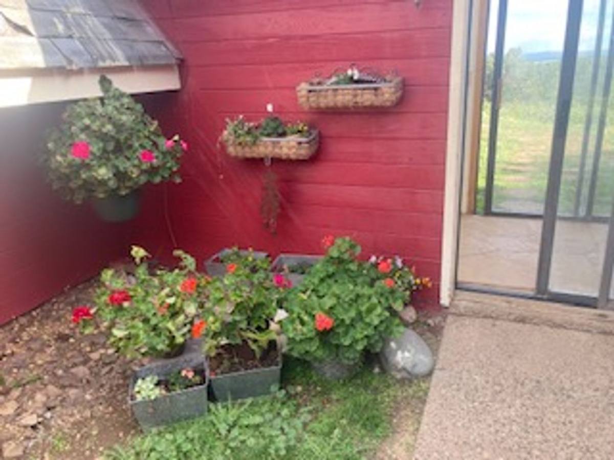 Apartment for rent at 701 Rincon Ridge Rd, Durango, CO 81301