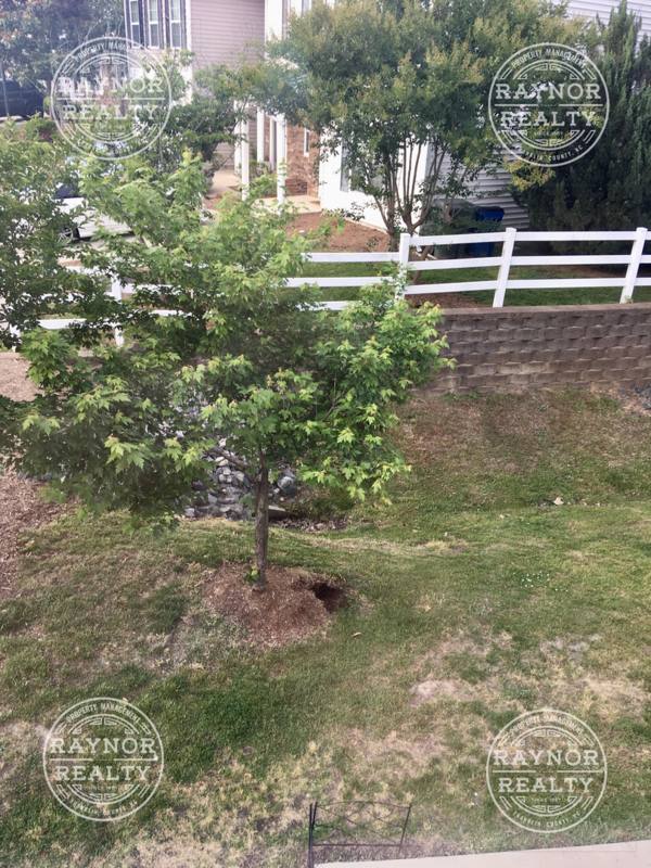 Townhouse for rent at 5131 Thornton Knoll Way, Raleigh, NC 27616