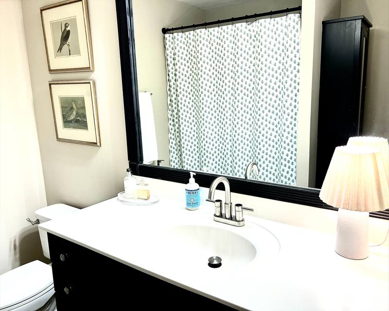 Condo for rent at 300 W 5th St #412, Charlotte, NC 28202