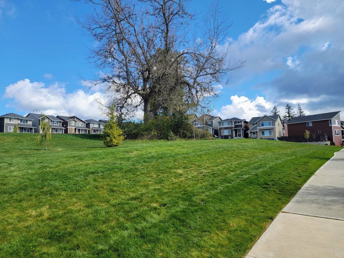 House for rent at 1012 Sedonia St, Bremerton, WA 98310