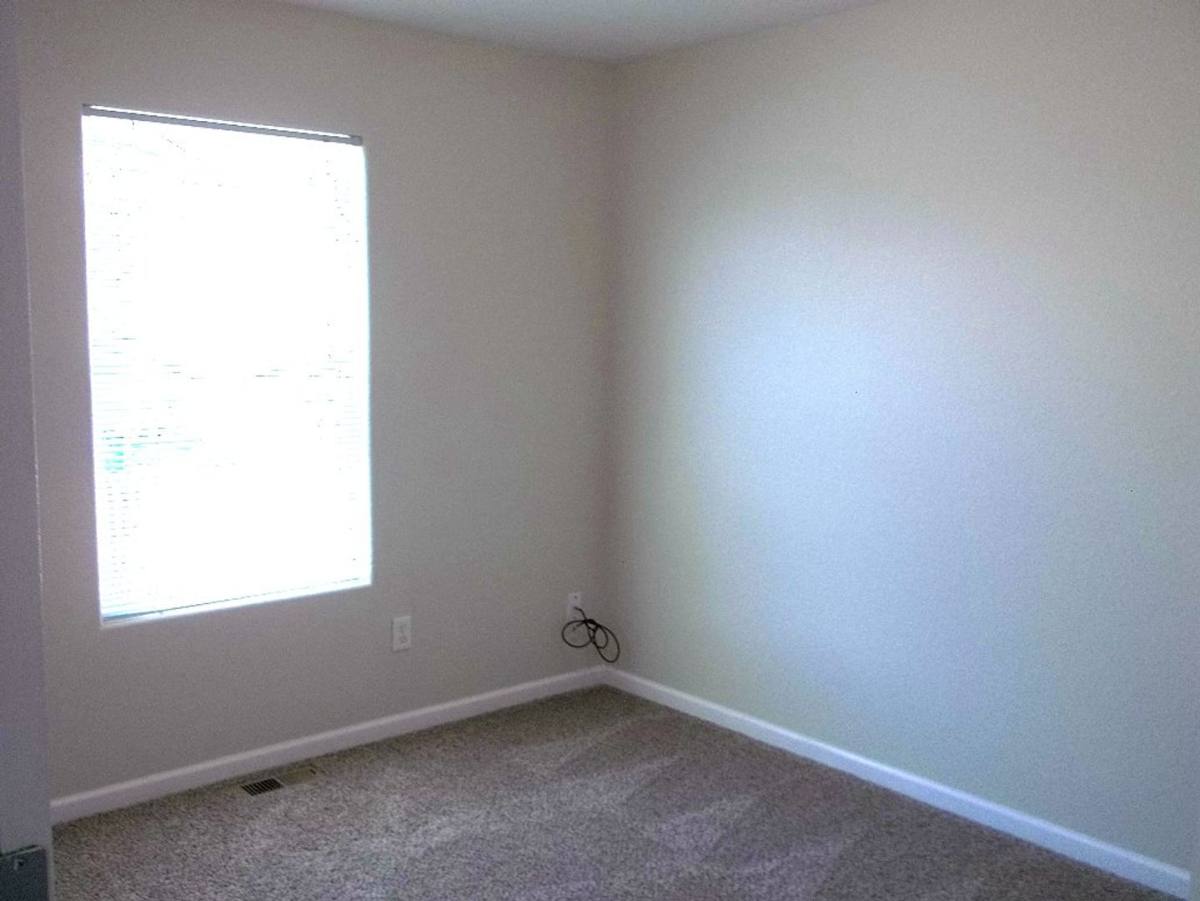 House for rent at 6936 Raleigh St, Wellington, CO 80549