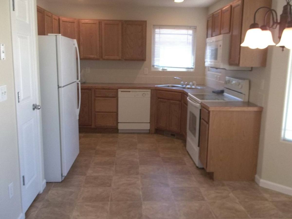 House for rent at 6936 Raleigh St, Wellington, CO 80549