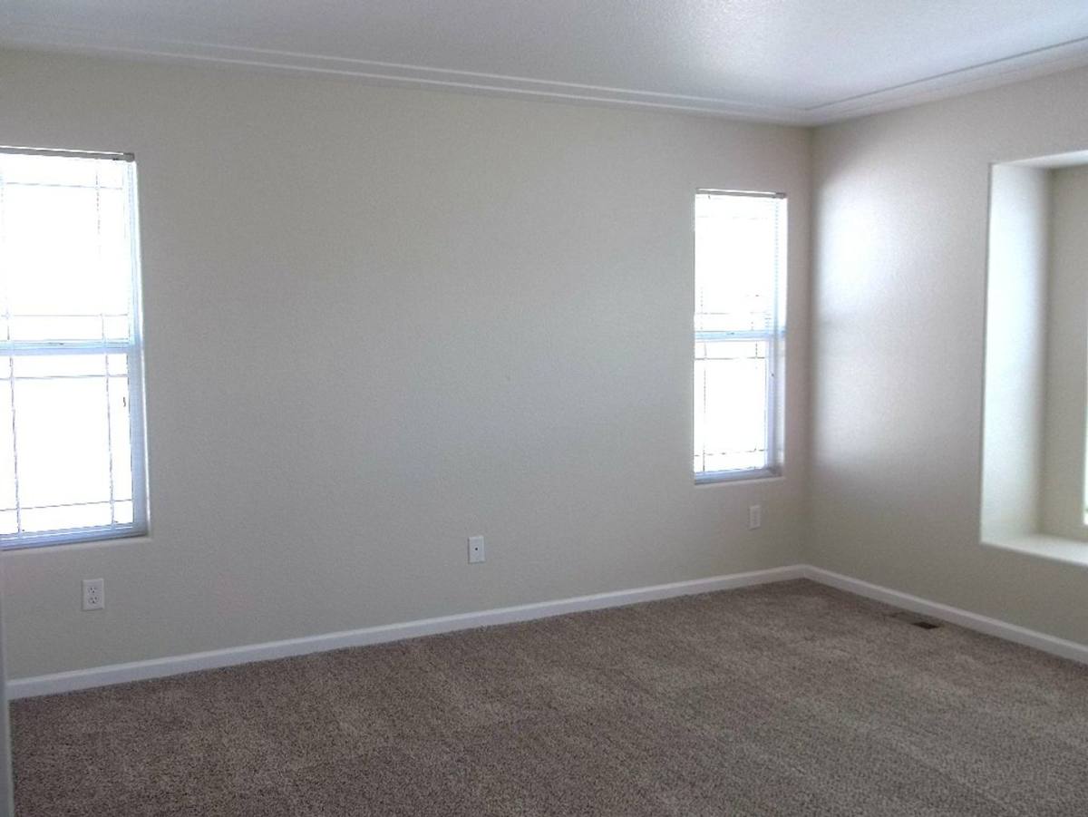 House for rent at 6936 Raleigh St, Wellington, CO 80549