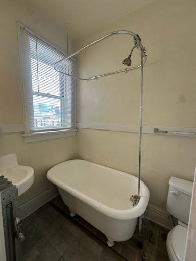 Apartment for rent at 1469 N Williams St #11, Denver, CO 80220