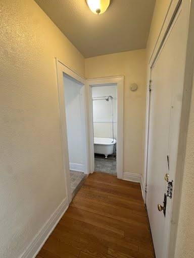 Apartment for rent at 1469 N Williams St #11, Denver, CO 80220