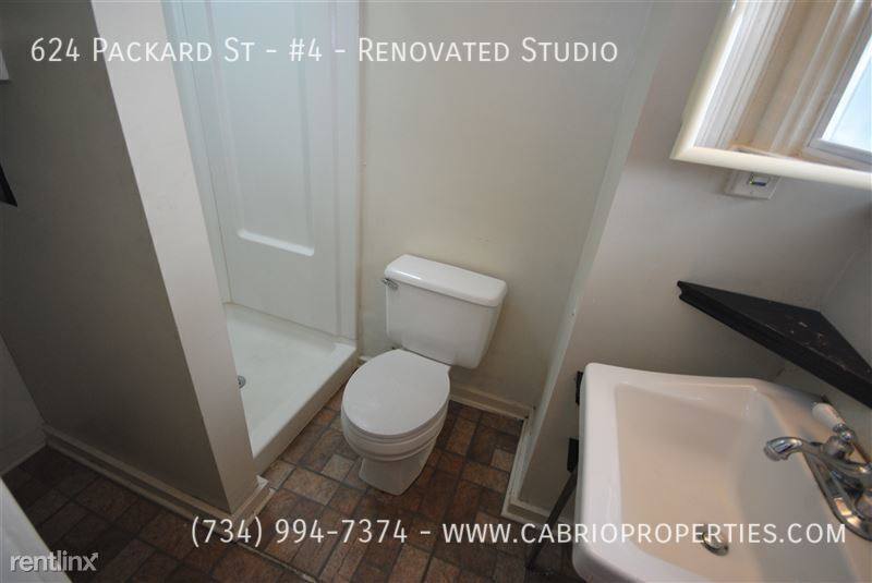 Apartment for rent at 624 Packard St #RENOVATED, Ann Arbor, MI 48104