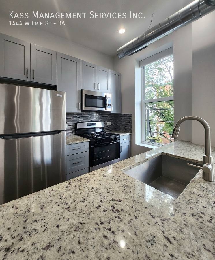 Apartment for rent at 1444 W Erie St #3A, Chicago, IL 60642