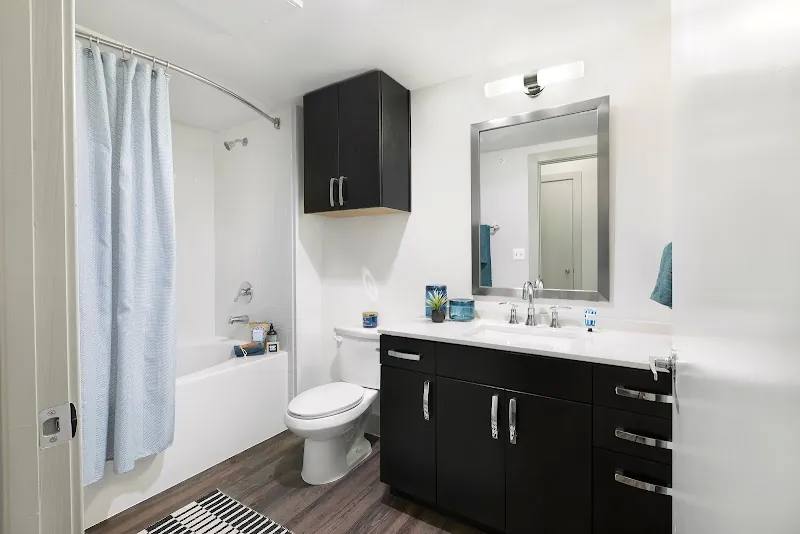 Apartment for rent at 3607 S Lamar Blvd, Austin, TX 78704