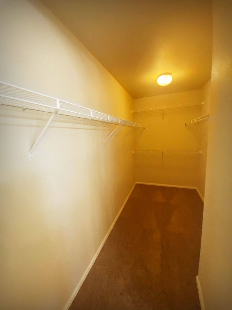 House for rent at 4556 Horse Tooth Rd, Colorado Springs, CO 80911