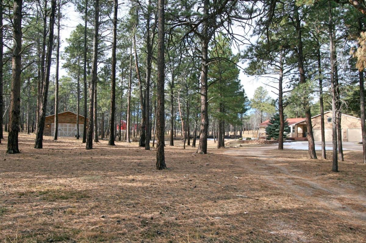 House for rent at 12240 Lazy H Way, Colorado Springs, CO 80908
