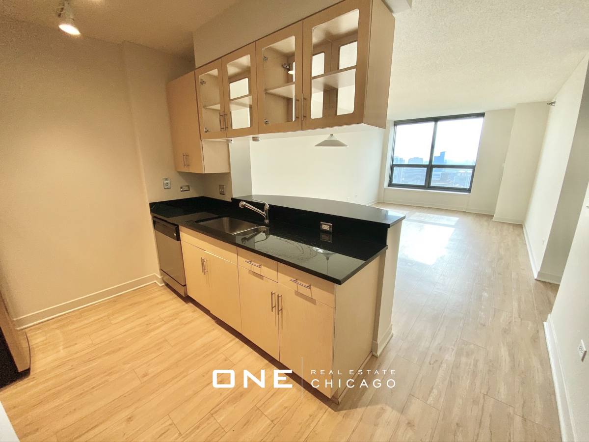 Apartment for rent at 1255 S Michigan #1, Chicago, IL 60605
