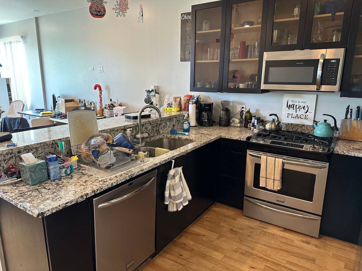 Apartment for rent at 1649 W Cortland, Chicago, IL 60622