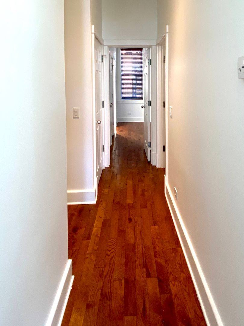 Apartment for rent at 1820 S Throop, Chicago, IL 60608