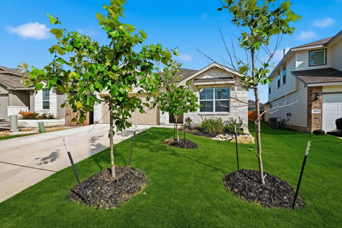 House for rent at 3887 Rusted Copper, San Antonio, TX 78261