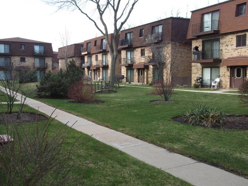 Condo for rent at 9717 Bianco Terrace E, Des Plaines, IL 60016