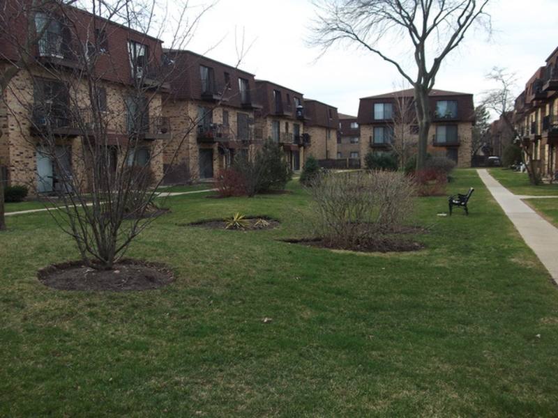 Condo for rent at 9717 Bianco Terrace E, Des Plaines, IL 60016