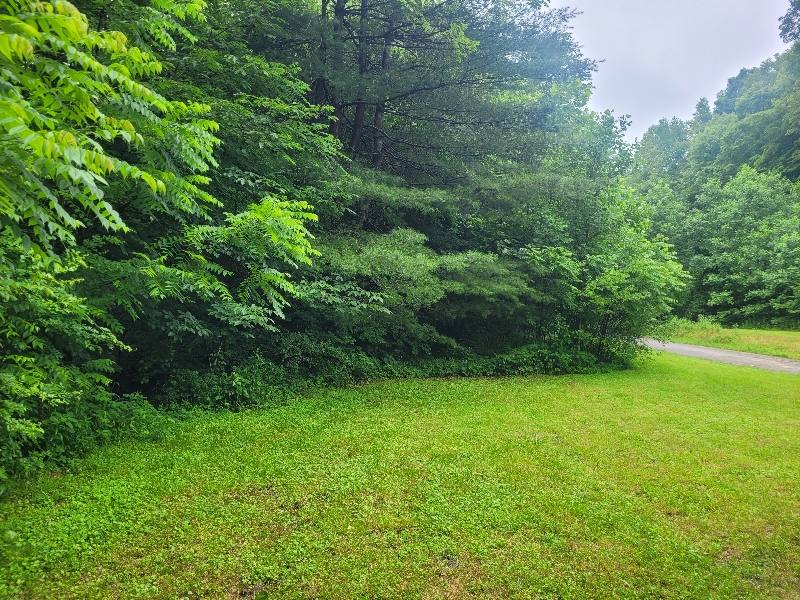 House for rent at 362 Ester Spur Rd, Waynesburg, KY 40489
