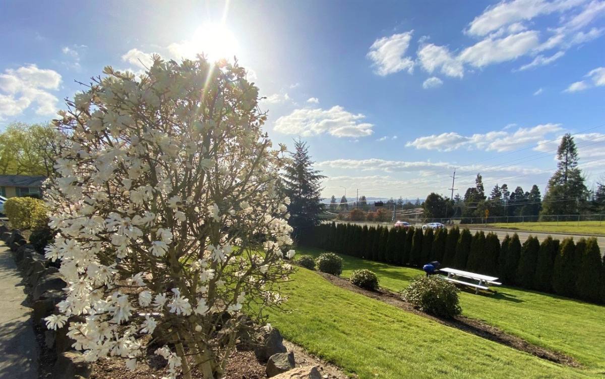 Apartment for rent at 11240 SW Barbur Blvd #27, Portland, OR 97219