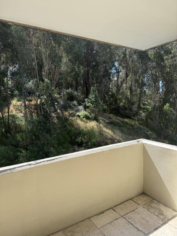 Condo for rent at 555 Pierce St #638, Albany, CA 94706