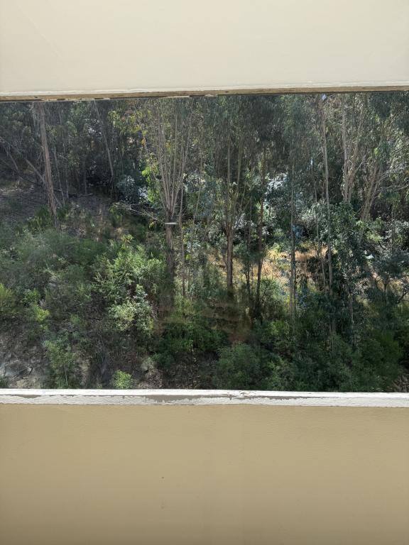 Condo for rent at 555 Pierce St #638, Albany, CA 94706