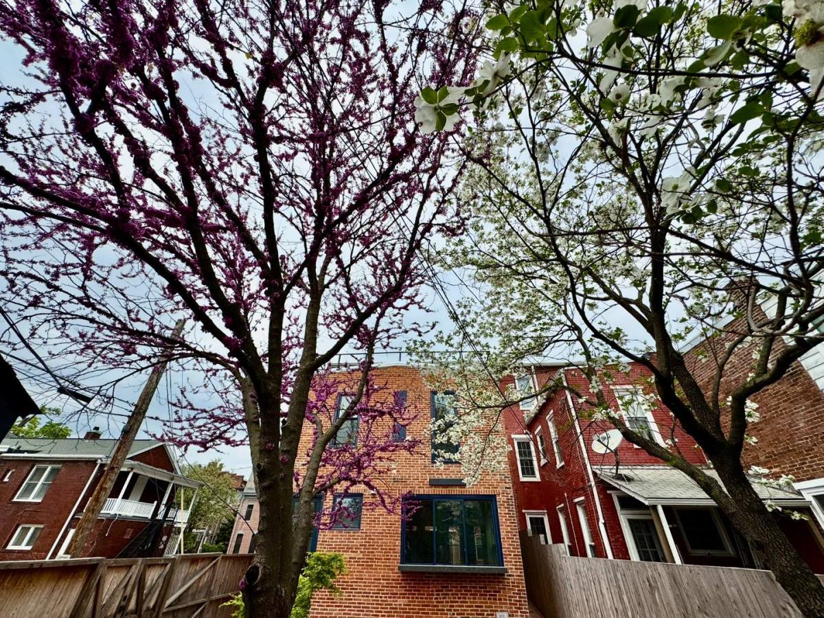 Townhouse for rent at 107 Calder St #10NIS, Harrisburg, PA 17102