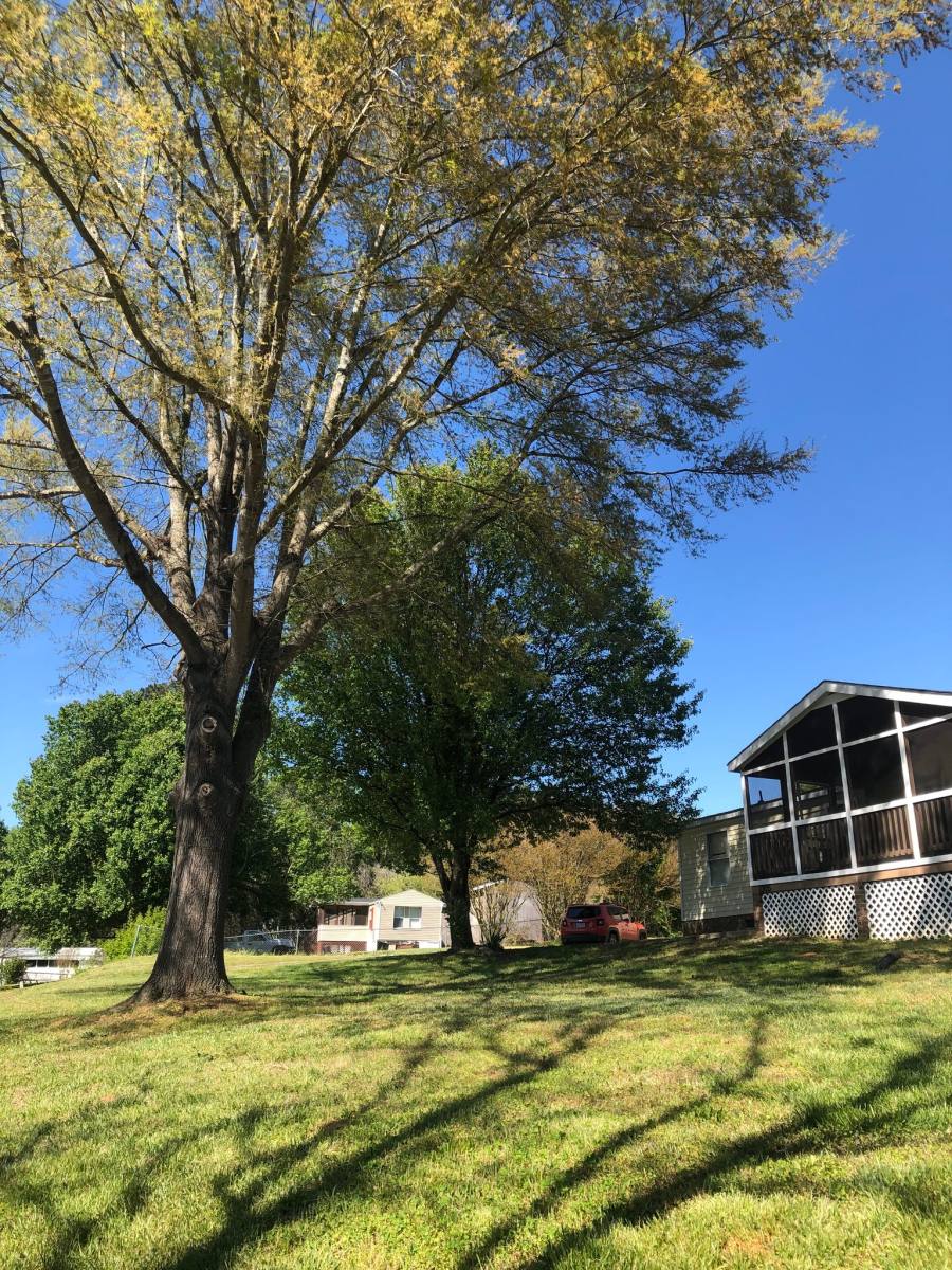 House for rent at 1305 Ewing Dr, Garner, NC 27529