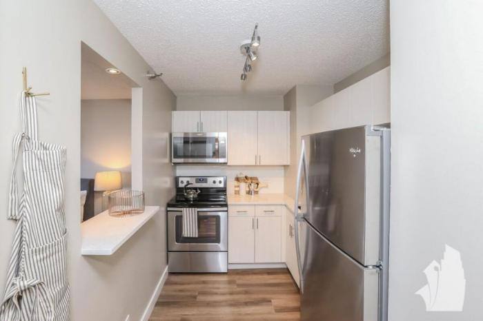 Townhouse for rent at 1730 N Clark St #2410, Chicago, IL 60614