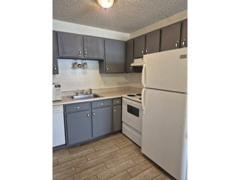 Condo for rent at 5030 El Camino Dr #13, Colorado Springs, CO 80918
