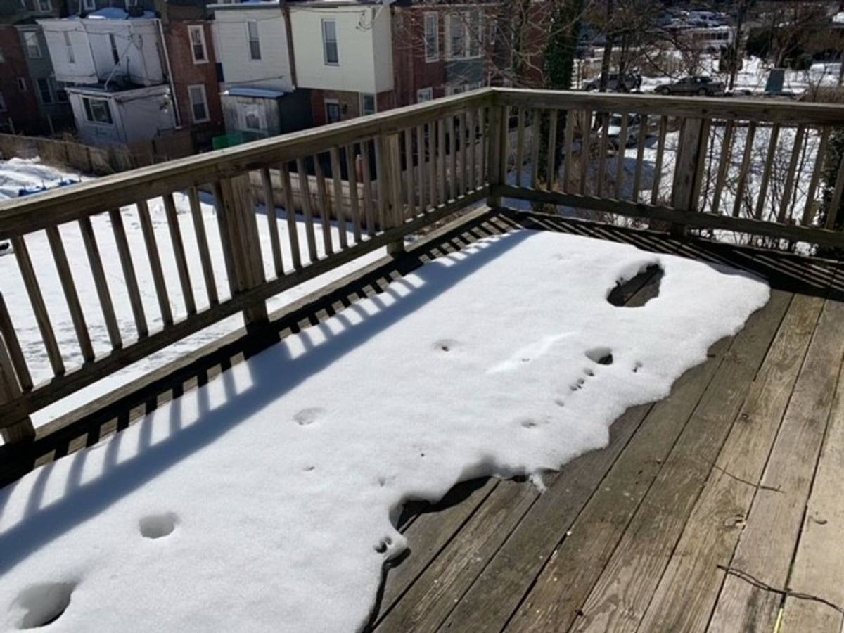 Apartment for rent at 112 E Mount Airy Ave, Philadelphia, PA 19119